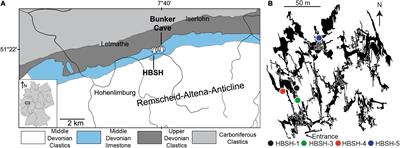 Opposite Trends in Holocene Speleothem Proxy Records From Two Neighboring Caves in Germany: A Multi-Proxy Evaluation